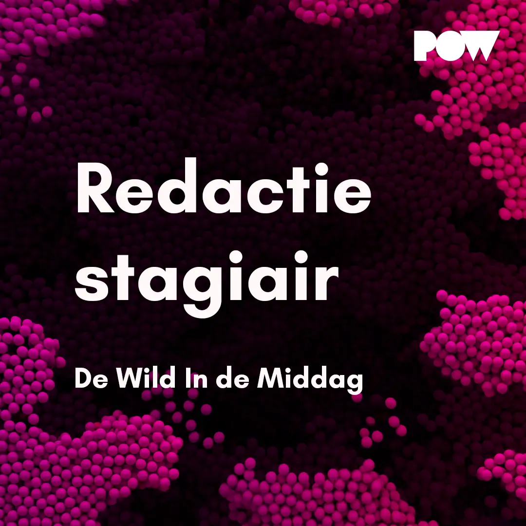 Redactiestagiair De Wild in De Middag